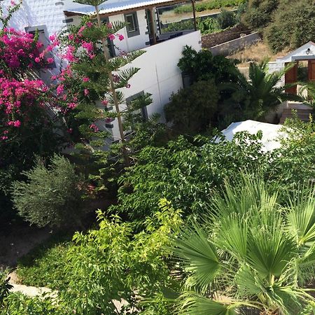 Patmos Villas Grikos Bay  الغرفة الصورة
