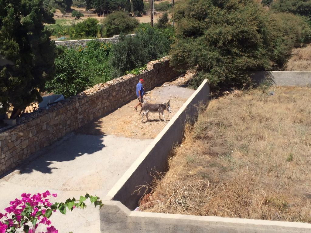 Patmos Villas Grikos Bay  المظهر الخارجي الصورة