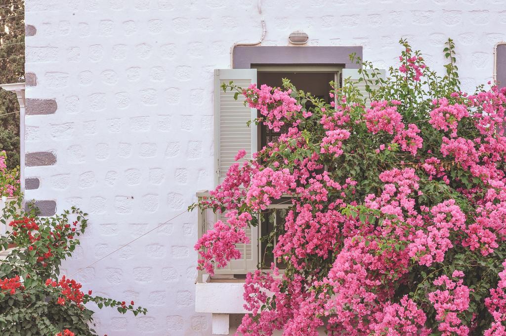 Patmos Villas Grikos Bay  المظهر الخارجي الصورة